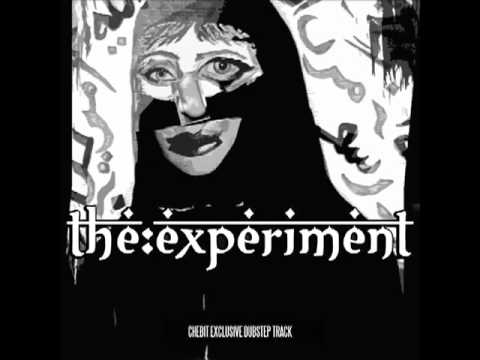 Chebit - The Experiment
