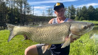 Fishing Farm Ponds for AGGRESSIVE Pike and HUGE Grass Carp!