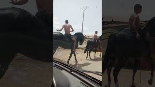 Mehdiya sultana saha ya saha مهدية سلطانة الصحة يا الصحة