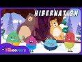 Hibernation The Kiboomers Preschool Learning Videos Winter Song