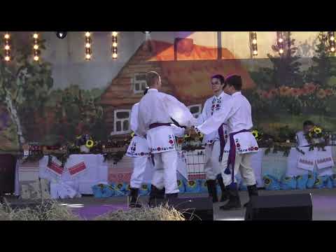 PRYMACKAJA BIASIEDA 2024 cz.  12 Przepiórka HDK