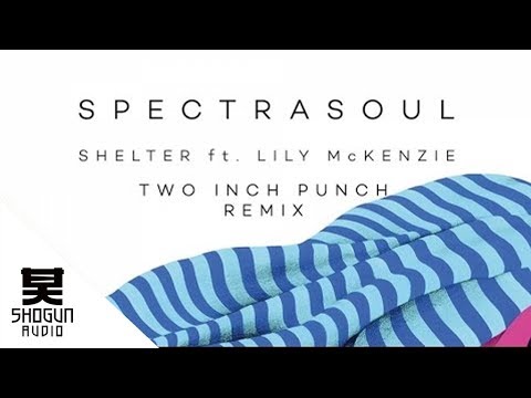 SpectraSoul - Shelter ft. Lily McKenzie (Two Inch Punch Remix)