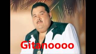 PREDRO AVILES  EL COYOTE LETRA