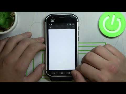 Manage Google Pay App - CAT S40 and Google Pay Settings