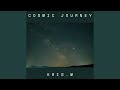 Cosmic Journey