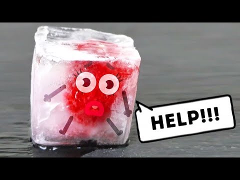 Everything Is Better With Doodles - Doodland #9