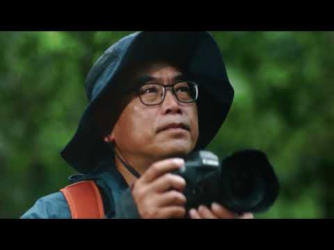 走在台灣山脊上的男人 - 國家地理雜誌官方網站｜探索自然、科學與文化的最佳權