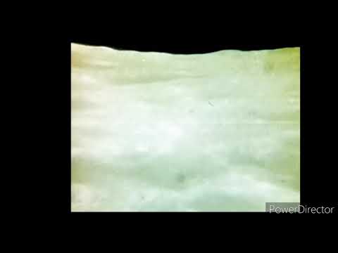 Apollo 17 rejected Stonehenge mission patches - Apollo 10 tv +film