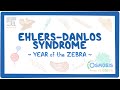Ehlers-Danlos syndrome (Year of the Zebra)