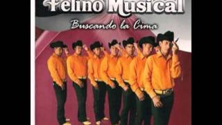 Felino Musical