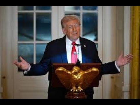 Donald Trump explains he is number 1 in lots of different things .