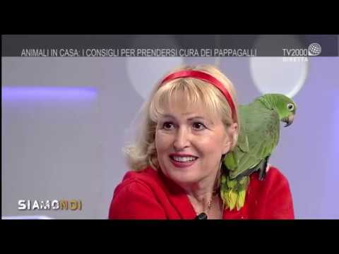 Siamo Noi - puntata del 18 aprile 2018