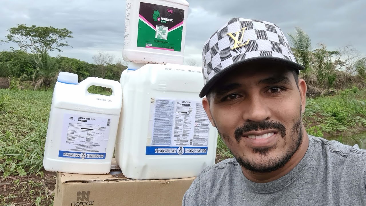 não cometa esse erro combatendo a praga na pastagem