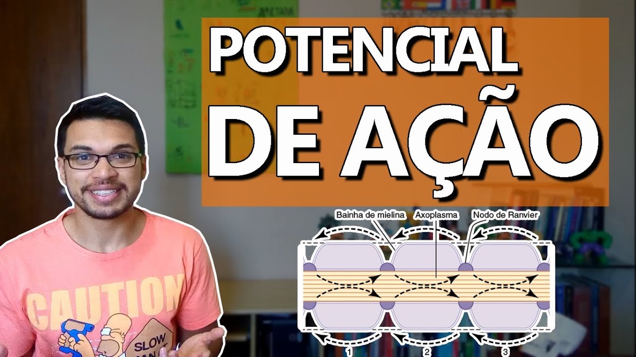 Potencial de ação [Membranas 02]