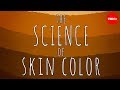 The Science Of Skin Color Angela Koine Flynn