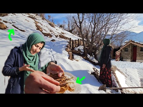 🌨️ Real News from the Snow | How Did a Medicinal Plant Change Fariba’s Life?