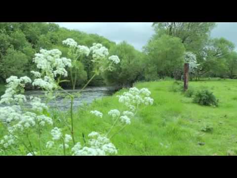 Trout fishing championship munster/&25hf4hs