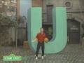 Sesame Street Billy Crystal And Unbelieveable
