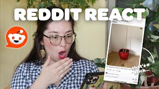 HOUSEPLANT REDDIT | cheap Thai Constellations, a shocking plant seller, and PESTS