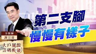 第二支腳慢慢有樣子｜大戶羅盤籌碼動能 ｜謝宗霖 (圖)