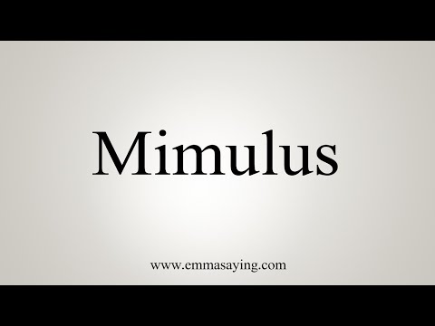 How To Say Mimulus