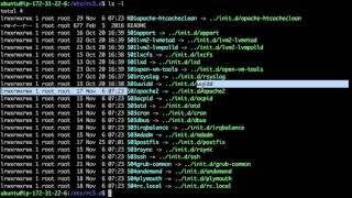 Linux - daemon 2 : service & auto start