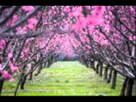 Vaya Con Dios - Nah Neh Nah