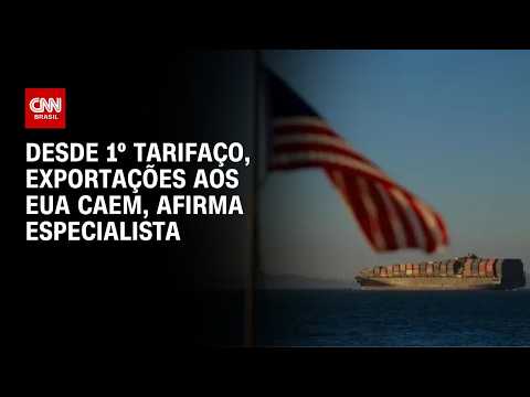 Desde 1º tarifaço, exportações aos EUA caem, afirma especialista | CNN MERCADO