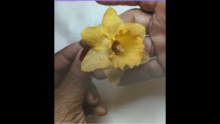 Preparing Dried Flowers