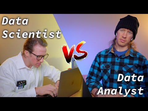 Data Scientist vs Data Analyst (funny!)