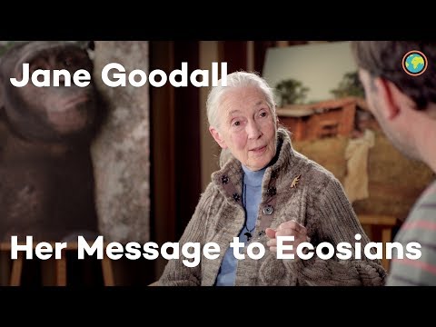 Ecosia interviews Dr. Jane Goodall Video