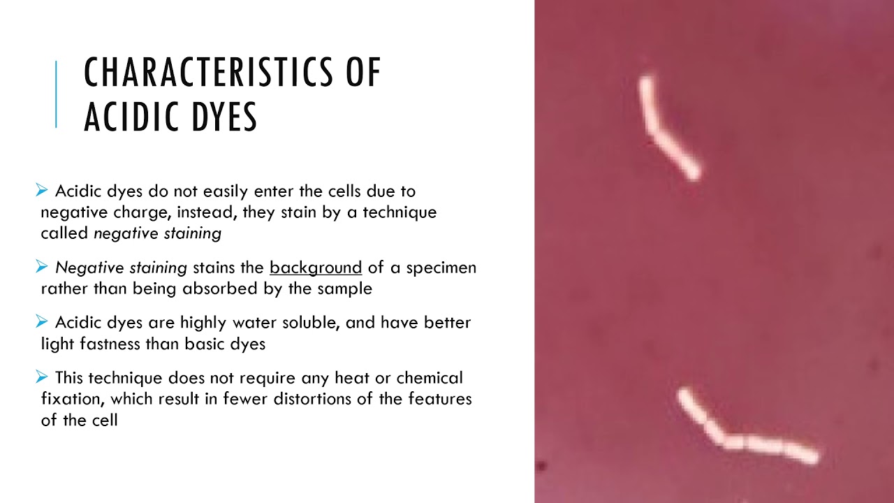 Chapter 01 acidic basic dyes