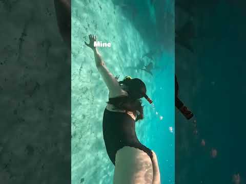 #pranitha enjoy the vacation in #maldives 🖤😻 #heroine #shortsfeed #instagood #trending #shorts #hot