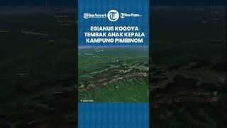 Egianus Kogoya Tembak Anak Kepala Kampung di Kuyawage Lanny Jaya Gegara Tak Diberi Makan