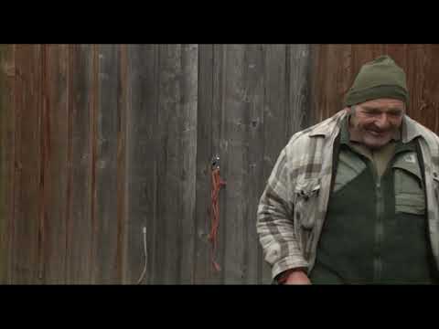 Hüeterbueb und Heitisträhl: 2. Laub und Nadeln