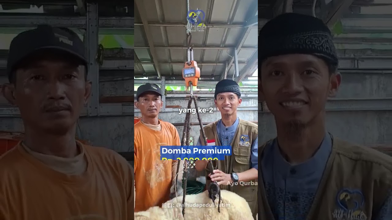 QURBAN BERKAH BERSAMA YATIM..#alhudapeduliyatim #shorts