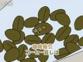 小柴豆（1-15）中文字幕完整版