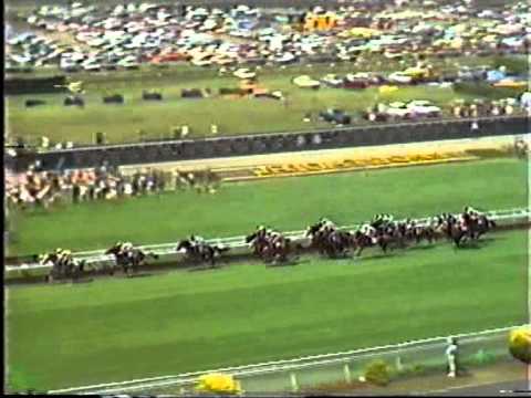 AMLOCH (NZ) 1985 Queen Elizabeth Handicap