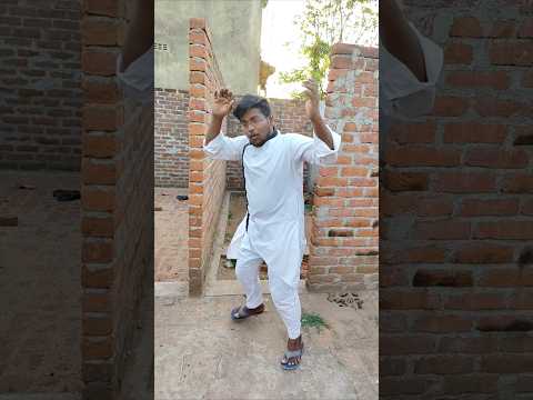 wah kya Dance hai 🤪😜#shorts #dog #funny #youtubeshorts #youtube
