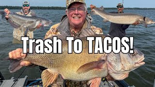 Giant Drum Catch, Clean & Cook - Rough Fish EPIC Day!