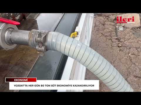 Yozgat’ta her gün 80 ton süt ekonomiye kazandırılıyor | İleri Gazetesi