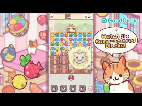 Cat Puzzle Home video thumbnail