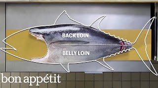 How To Butcher a Whole Tuna: Every Cut of Fish Explained | Beautiful Butchery | Bon Appétit