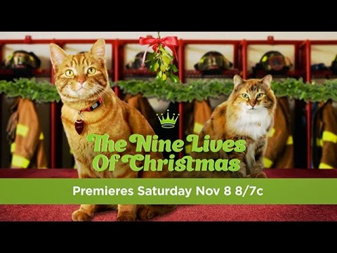 download lagu mp3 mp4 Watch Nine Lives Online 123movies, download lagu Watch Nine Lives Online 123movies gratis, unduh video klip Watch Nine Lives Online 123movies