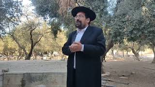 זכר למקדש בברכת השנים? || ברכה לכלה | הרב אליהו ובר (ישיבת הר הבית) - התמונה מוצגת ישירות מתוך אתר האינטרנט יוטיוב. זכויות היוצרים בתמונה שייכות ליוצרה. קישור קרדיט למקור התוכן נמצא בתוך דף הסרטון זכר למקדש בברכת השנים? || ברכה לכלה | הרב אליהו ובר (ישיבת הר הבית) - התמונה מוצגת ישירות מתוך אתר האינטרנט יוטיוב. זכויות היוצרים בתמונה שייכות ליוצרה. קישור קרדיט למקור התוכן נמצא בתוך דף הסרטון