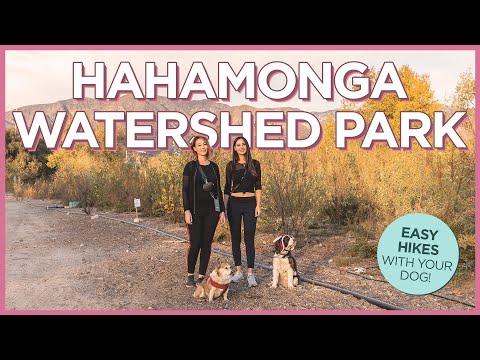 加利福尼亞州帕薩迪納的哈哈蒙加分水嶺公園的可愛小徑和景觀。 (Lovely Trails and Views at Hahamonga Watershed Park in Pasadena, California)