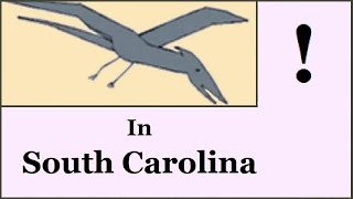 Pterosaur Sightings in South Carolina