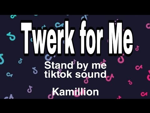 Twerk for Me - Tiktok song remix - Stand by me Tiktok song - Kamillion (Lyrics) - Tiktok song remix