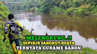 Download lagu FORTUNE..!! Unexpectedly Fishing for Baung Fish Strikes Gurame Babon Curved Rod mp3