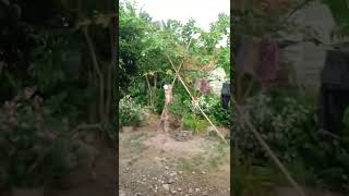 Download lagu lagi jemur pakaian mp3